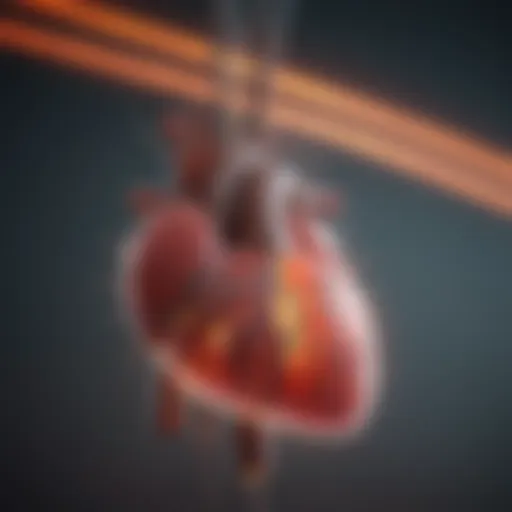 Illustration of cardiac electrical conduction system
