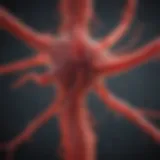 Visual representation of chronic inflammation pathways