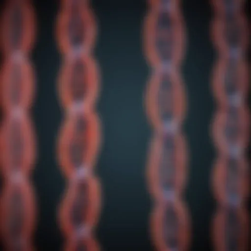 Graphical representation of chromosomal abnormalities detected by CMA testing