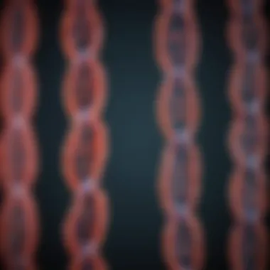 Chromosomal Abnormalities Identified by CMA Testing Graphical representation of chromosomal abnormalities detected by CMA testing