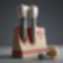 An infographic illustrating the cost breakdown of dental implants