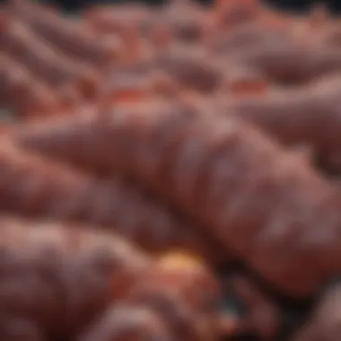 Diagnostic Methods for Colorectal Cancer Chart showing diagnostic methods for colorectal cancer detection