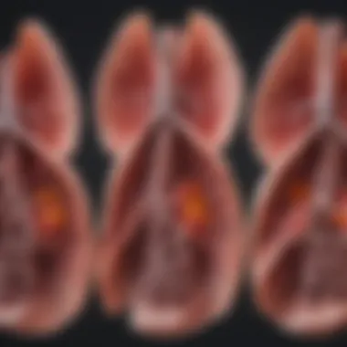 An informative diagram showing the progression of COPD.