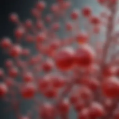 Notable Understanding Erythrose 4 Phosphate: A Key Metabolite in Biochemical Pathways Notable Understanding Erythrose 4 Phosphate: A Key Metabolite in Biochemical Pathways