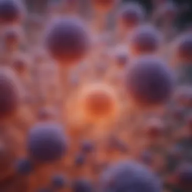Microscopic Examination of Follicular Lymphoma Microscopic view of follicular lymphoma cells