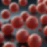 Microscopic view of blood cells
