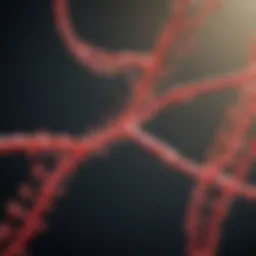Overview of HIV transmission pathways