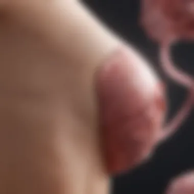Notable Understanding Images of Breast Cancer Stages