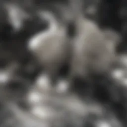 A large ball mill in a chemical processing facility