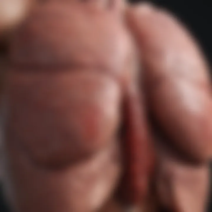 Visual representation of factors affecting liver health
