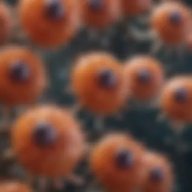 Notable Understanding MKN45 Cells: Biology and Applications Notable Understanding MKN45 Cells: Biology and Applications