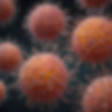 Understanding MKN45 Cells: Biology and Applications Summary Understanding MKN45 Cells: Biology and Applications Summary
