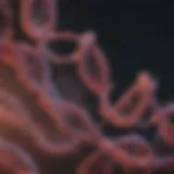 Visualization of NSCLC mutations on a DNA strand