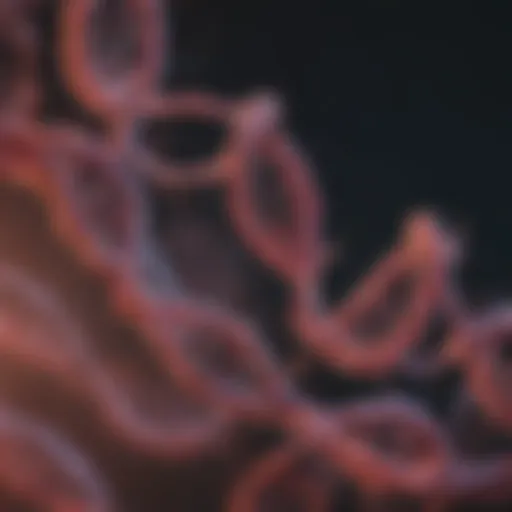 Visualization of NSCLC mutations on a DNA strand