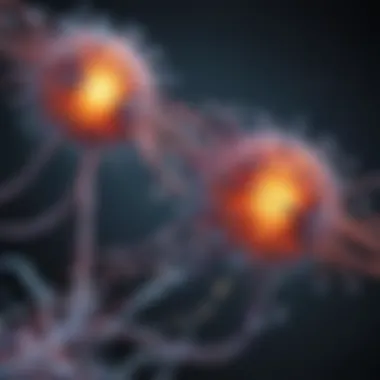 Diagram illustrating the binding sites on plasma proteins.