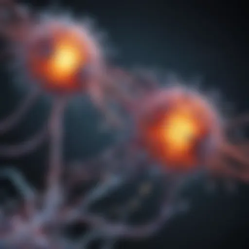 Diagram illustrating the binding sites on plasma proteins.