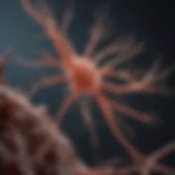 Illustration depicting motor neuron degeneration in SBMA