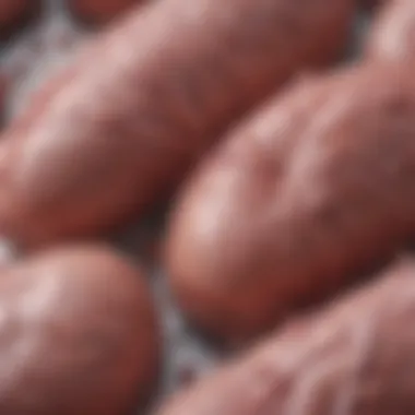 Graphical representation of clinical manifestations of stage four PKD