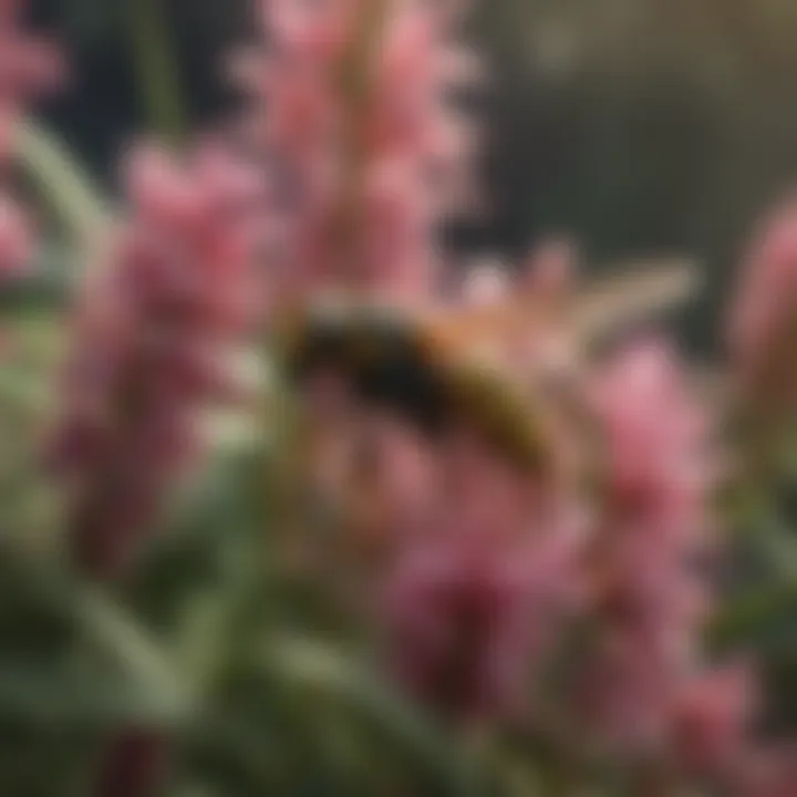 A stinger wasp in its natural habitat surrounded by flowers
