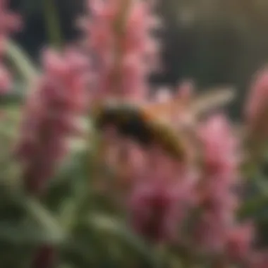 Stinger Wasp in its Natural Habitat A stinger wasp in its natural habitat surrounded by flowers