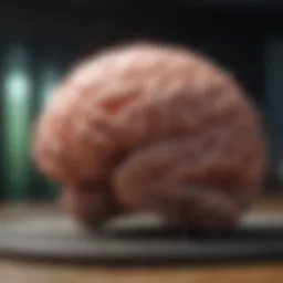 Graph illustrating survival rates post brain tumor removal