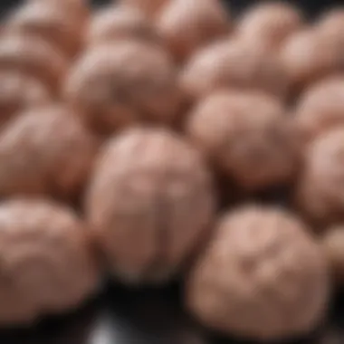 Various types of brain tumors depicted