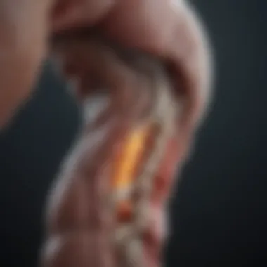 Diagnostic Methods for Spinal Cysts Chart depicting diagnostic methods for spinal cysts