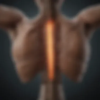 Symptoms of Spinal Cysts Diagram illustrating the symptoms associated with spinal cysts