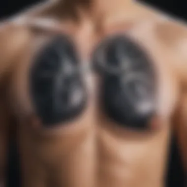 Detailed chest X-ray highlighting TB lesions