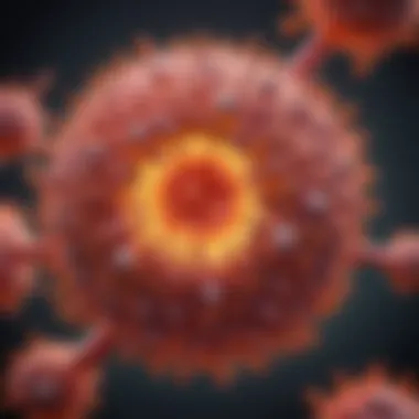 Illustration showcasing the structure of the Hepatitis C virus