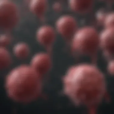 Metastasis Rates Across Cancer Types Graph showing rates of metastasis across different cancer types