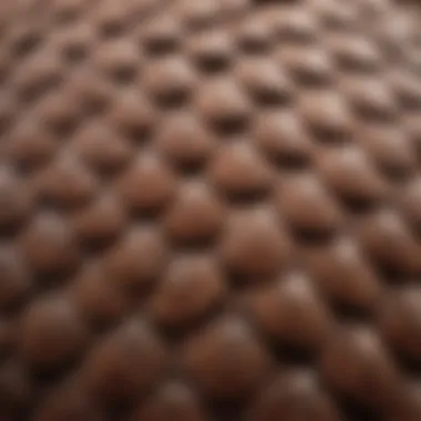 Close-up view of a pangolin emphasizing its unique scales and texture