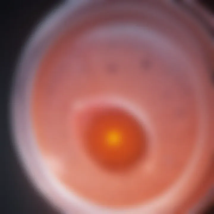 Illustration showing the hormonal fluctuations during the ovulation cycle