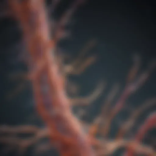 Neurological pathways illustrating MS impact