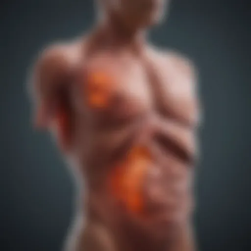 Illustration of liver health and wellness