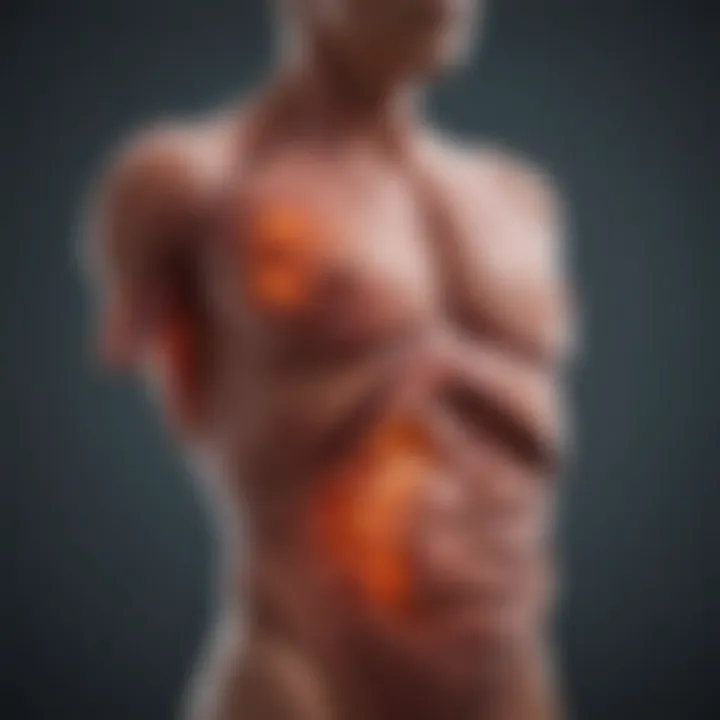 Illustration of liver health and wellness