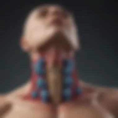 Formation of Thyroid Cysts Illustration depicting the formation of thyroid cysts