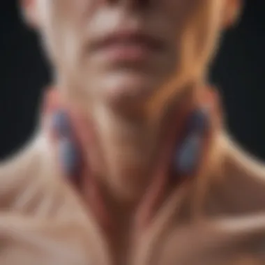 Types of Thyroid Cysts Visual representation of different types of thyroid cysts