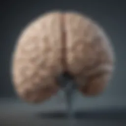 Illustration depicting the brain's structure in relation to TBI